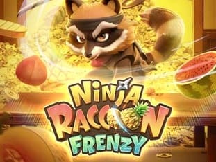 Ninja Racoon Frenzy screenshot